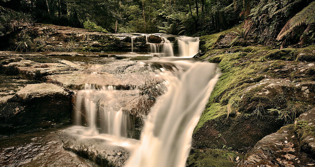 waterfall Liffey Falls, Tasmania, Australia, long time exposure