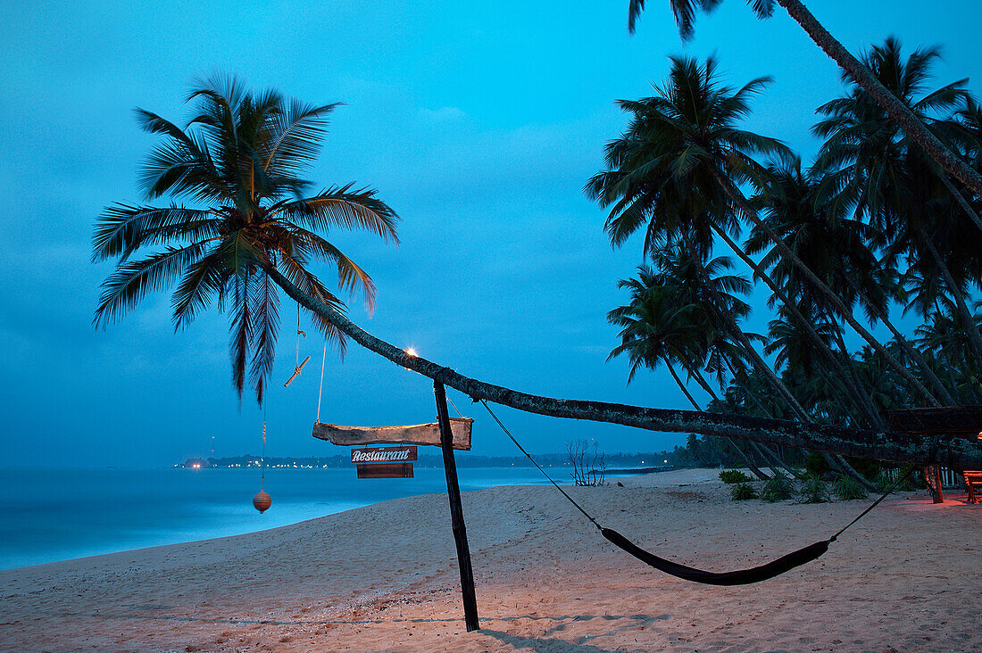 Einsamer Strand in der Dämmerung, schräge Palme mit Hängematte, Blaue Stunde, Tangalle, Hambantota Distrikt, Sri Lanka, Indischer Ozean, Langzeitbelichtung