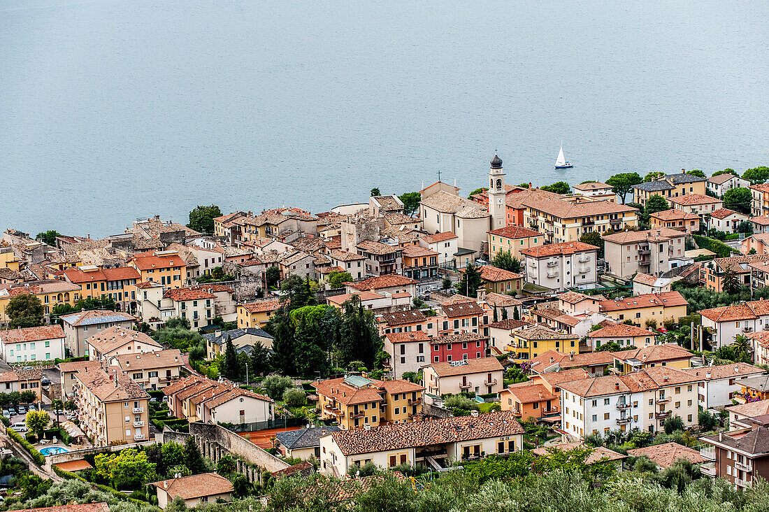 Blick auf den Gardasee und Torri del Benaco, Gardasee, Provinz Verona, Norditalien, Italien