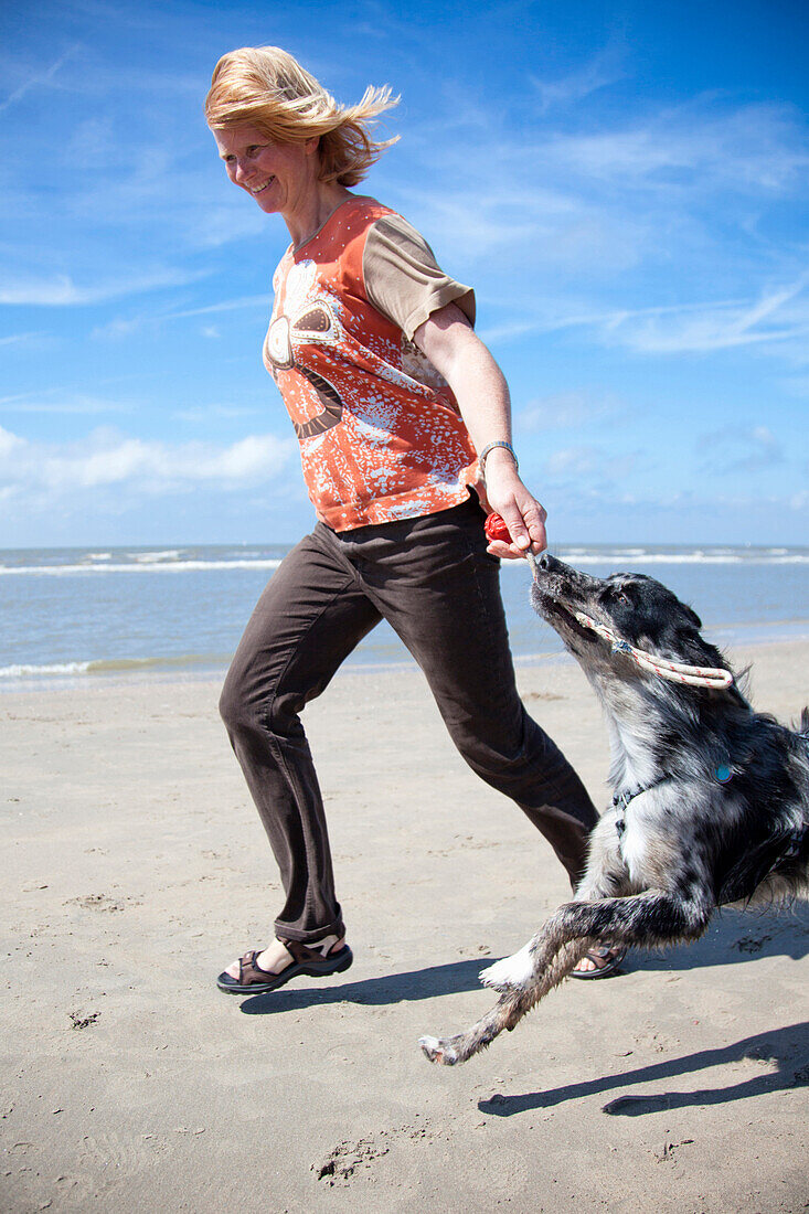 Frau spielt mit einem Hund am Strand, Zandvoort, Nordholland, Niederlande