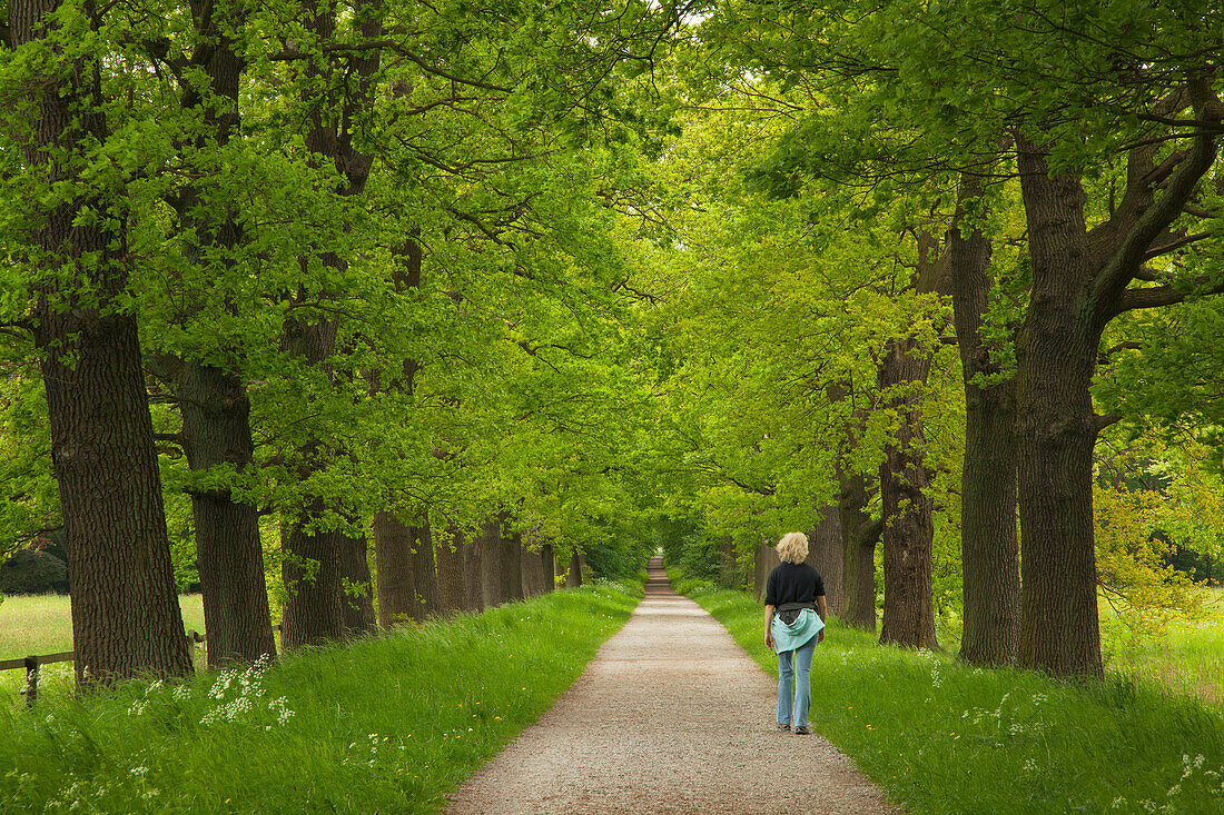 Frau beim Spaziergang durch eine Eichenallee, Münsterland, Nordrhein-Westfalen, Deutschland, Europa