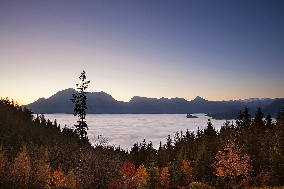 Blick über den Nebel im Tal zum Hohen Göll und Hohen Brett, Berchtesgadener Land, Nationalpark Berchtesgaden, Oberbayern, Bayern, Deutschland, Europa