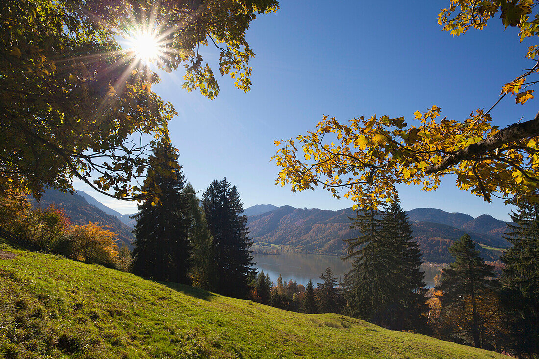 Schliersee im Sonnenlicht, Oberbayern, Bayern, Deutschland, Europa