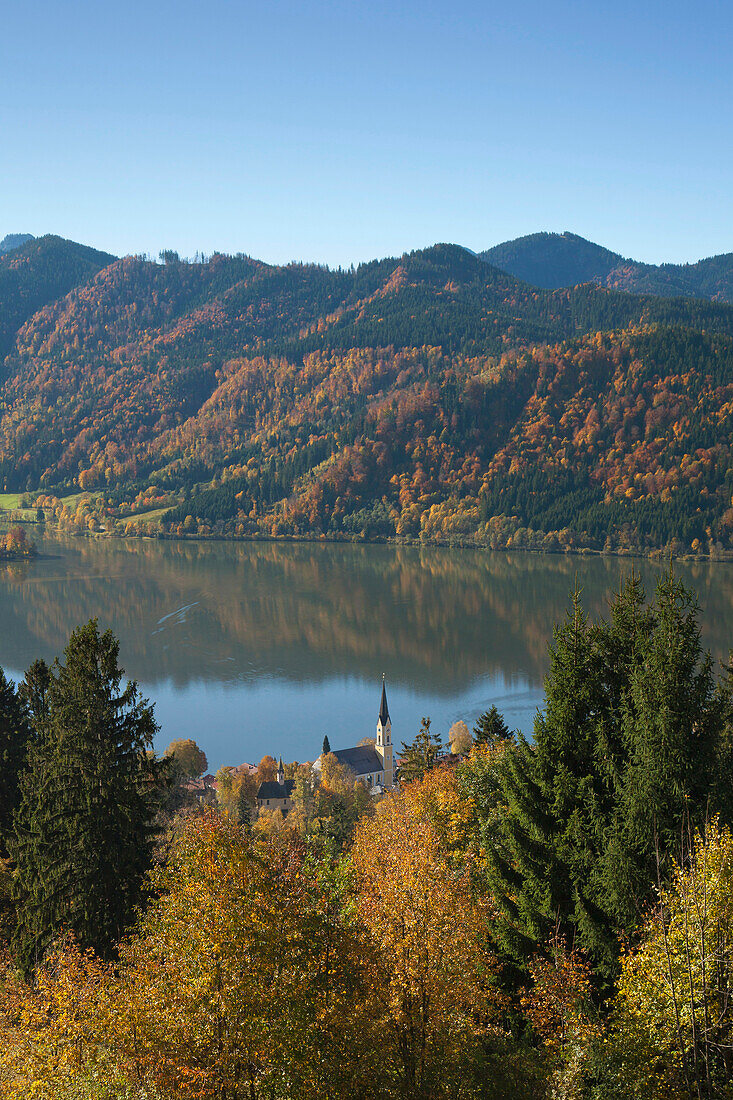 Blick über herbstliche Bäume auf die Pfarrkirche am Schliersee, Oberbayern, Bayern, Deutschland, Europa