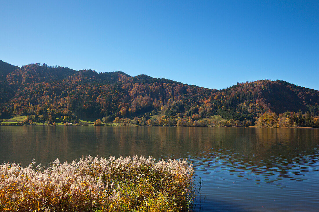 View over lake Schliersee, Upper Bavaria, Germany, Europe