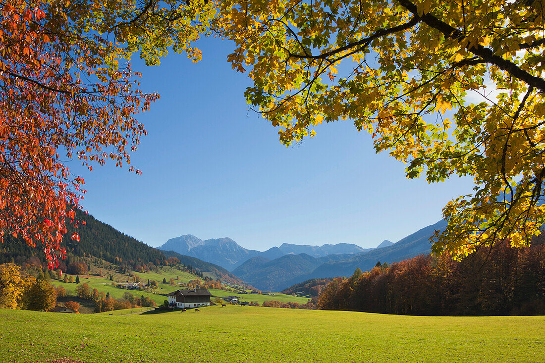 Autumnal landscape with farm near Ramsau, view onto Hoher Goell and Hohes Brett, Berchtesgaden region, Berchtesgaden National Park, Upper Bavaria, Germany, Europe