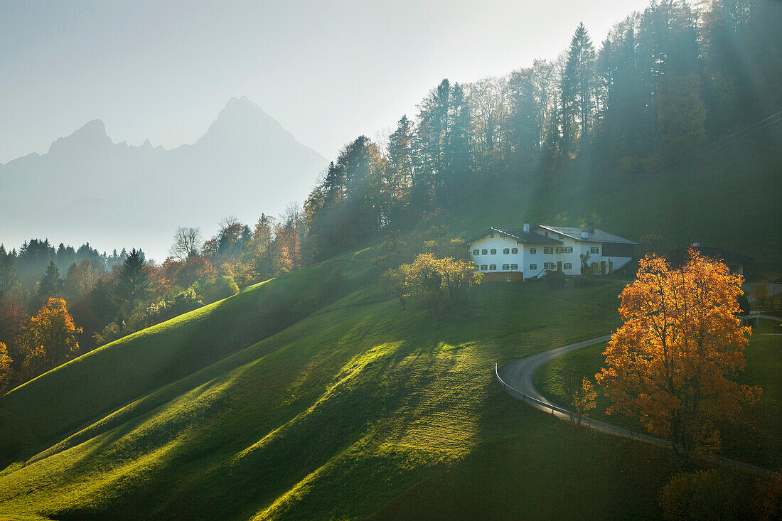 Bauernhof bei Maria Gern, Blick zum Watzmann, Berchtesgadener Land, Nationalpark Berchtesgaden, Oberbayern, Bayern, Deutschland, Europa