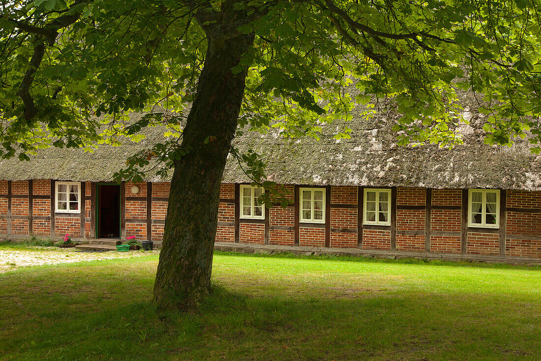 Bauernhaus beim Heidemuseum, Wilsede, Lüneburger Heide, Niedersachsen, Deutschland, Europa