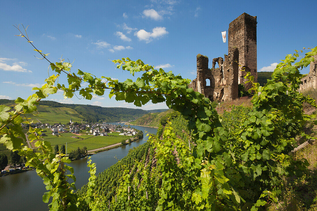 Burg Metternich oberhalb von Beilstein, Mosel, Rheinland-Pfalz, Deutschland