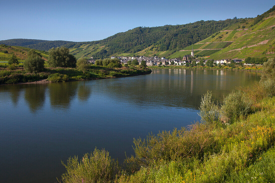 Blick über die Mosel auf Bremm, Mosel, Rheinland-Pfalz, Deutschland