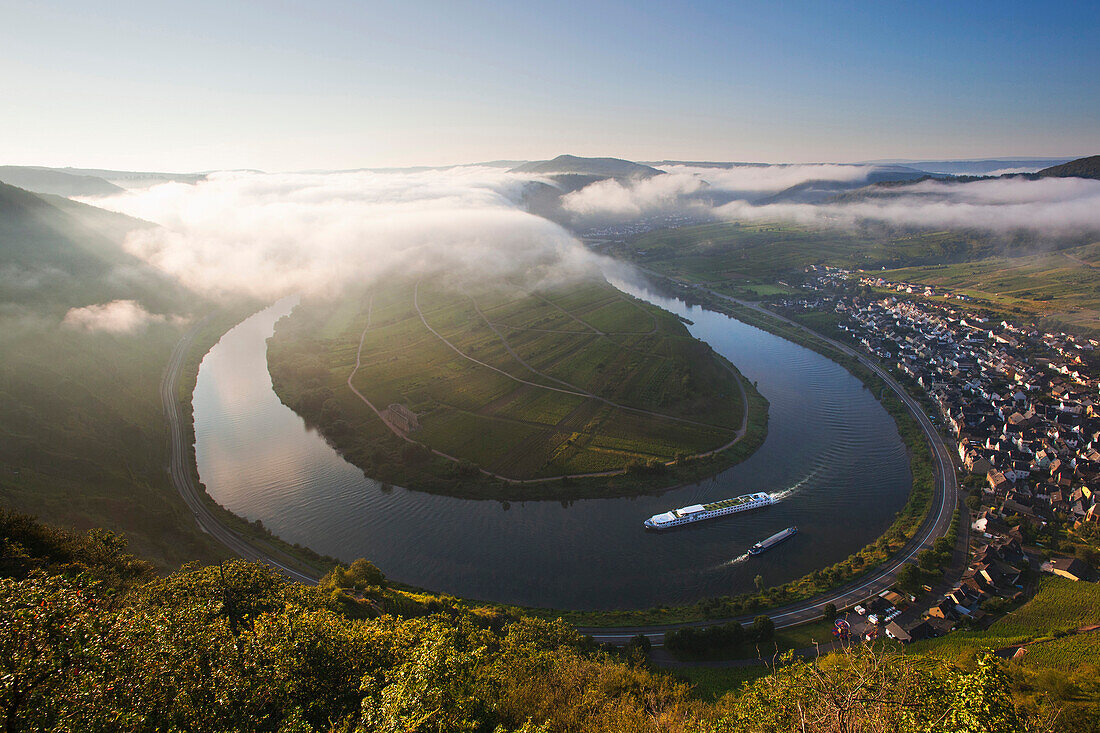 Blick vom Weinberg Bremmer Calmont auf die Moselschleife bei Bremm im Morgennebel, Mosel, Rheinland-Pfalz, Deutschland