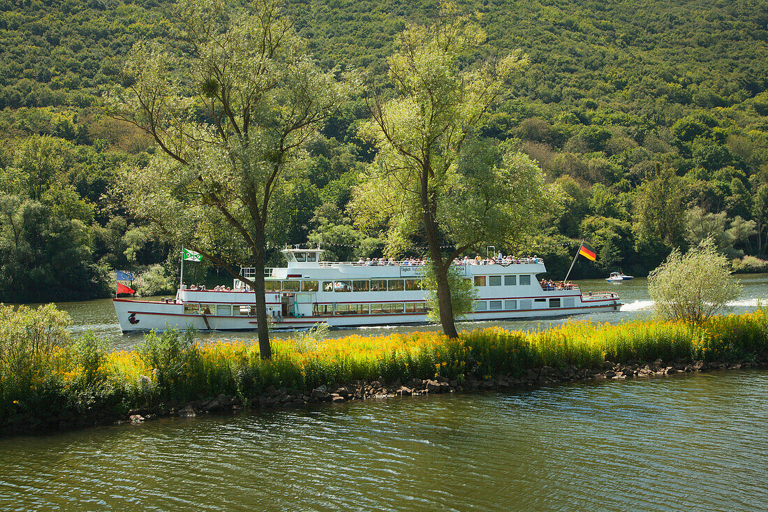 Excursion ship, Mosel river, Rhineland-Palatinate, Germany