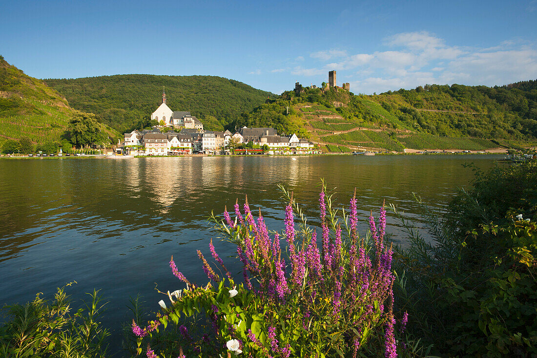 Beilstein and Metternich castle, Mosel river, Rhineland-Palatinate, Germany