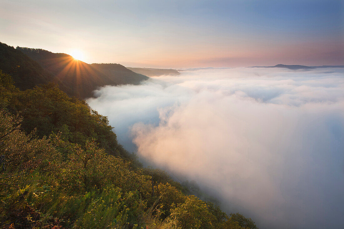 Morgennebel am Bremmer Calmont, Mosel, Rheinland-Pfalz, Deutschland