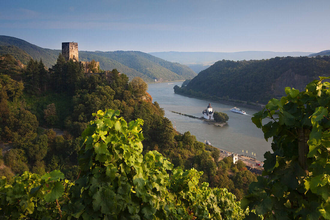 View from the vineyards to Gutenfels castle and Pfalzgrafenstein castle, Unesco World Cultural Heritage, near Kaub, Rhine river, Rhineland-Palatinate, Germany