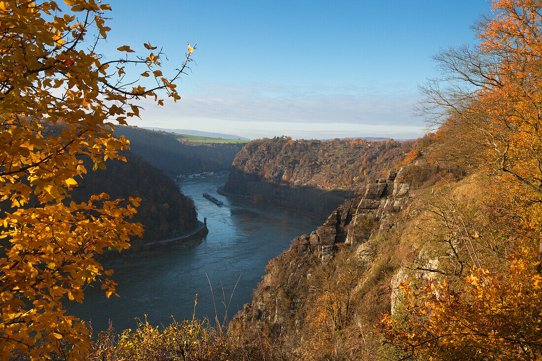 Blick vom Wanderweg Rheinsteig über die Felsformation Spitznack ins Rheintal und zur Loreley, Rhein, Rheinland-Pfalz, Deutschland