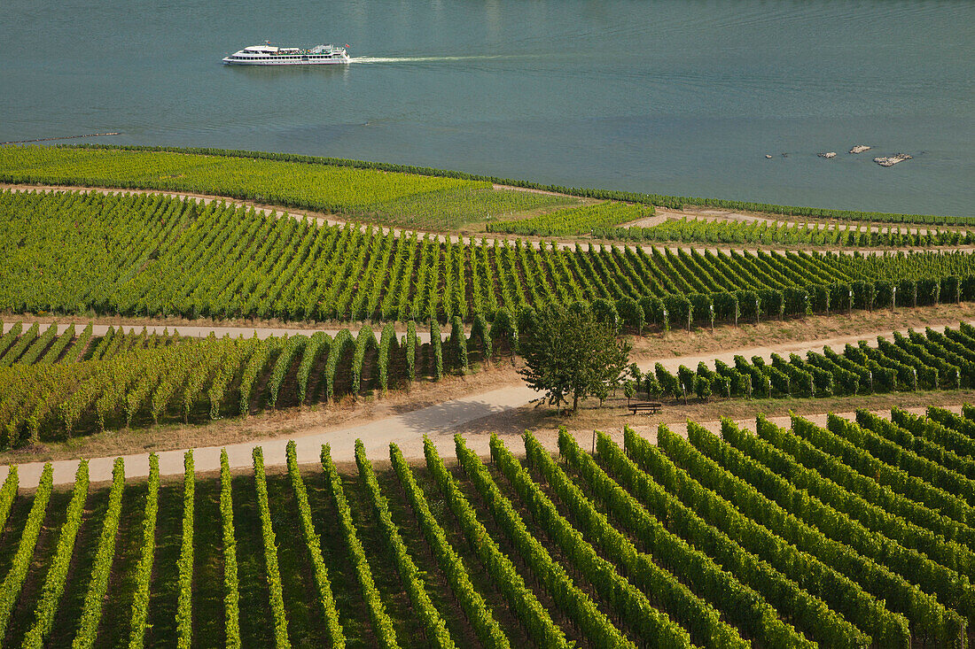 Ausflugsschiff auf dem Rhein bei Rüdesheim, Rhein, Rheingau, Hessen, Deutschland