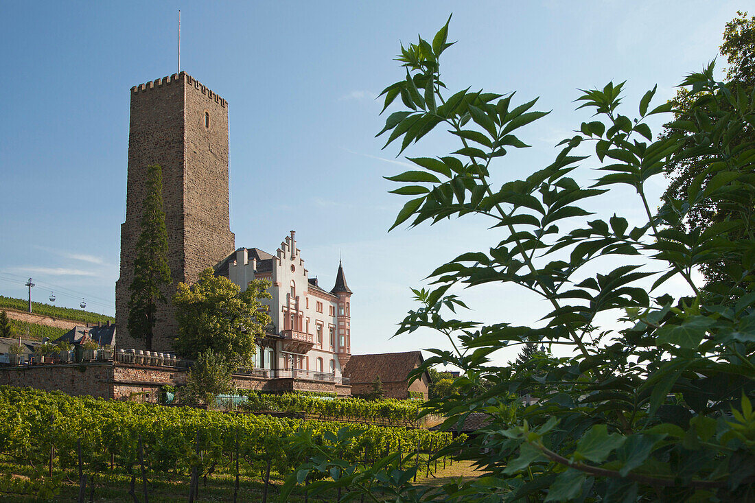 Boosenburg, Unesco World Cultural Heritage, Ruedesheim, Rheingau, Rhine river, Hesse, Germany