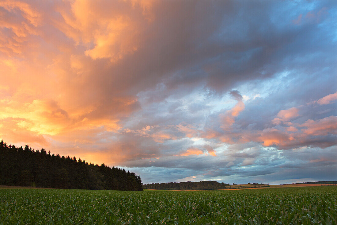 Gewitterwolken am Abend, Solling, Niedersachsen, Deutschland