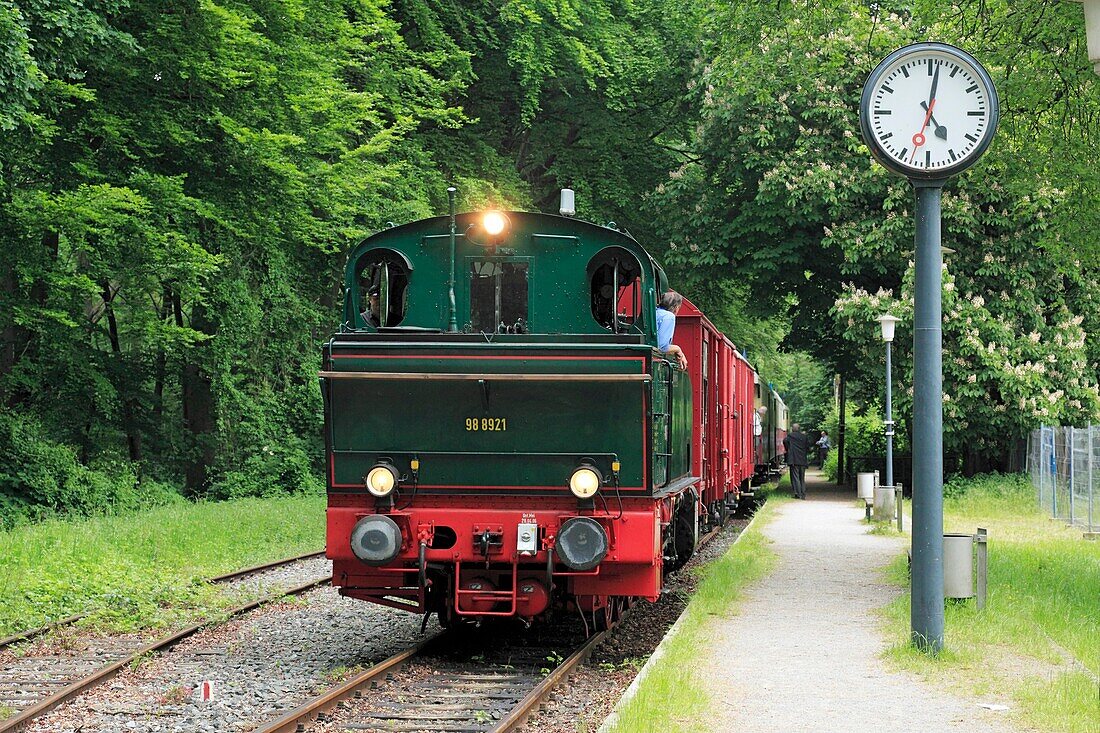 D-Krefeld, Rhine, Lower Rhine, Rhineland, North Rhine-Westphalia, NRW, D-Krefeld-Huelser Berg, rail station Huelser Berg, platform, historical steam train ´Schluff´, museum train, steam loco