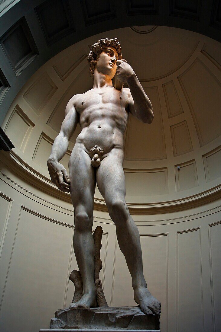 Michelangelos david, Accademia di bellearti, Florence, Tuscany, Italy.