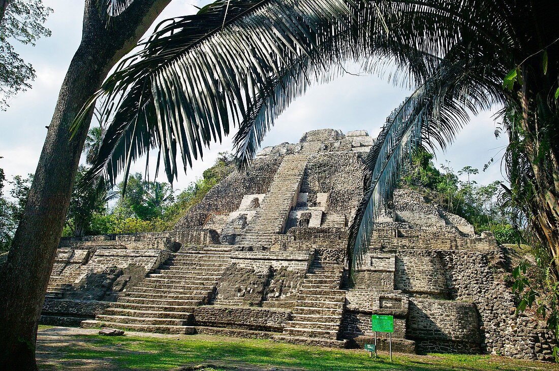 Structure N10-43, also known as El Castillo Maya temple ruins at Lamanai 300BC, 1500AD Lamanai Belize