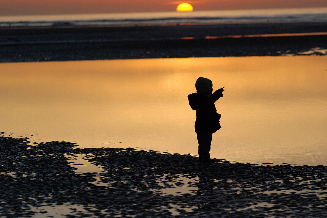 Little Girl Walking By The Sea At Sunset, Cayeux-Sur-Mer, Bay Of Somme, Somme (80), France