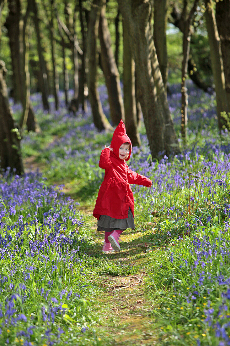 Young Girl Dressed As Little Red Riding Hood Walking In The Woods, France