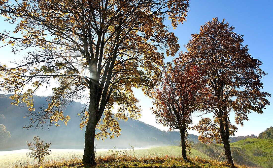 France, Landscape morning in autumn, with rays of light behind the trees