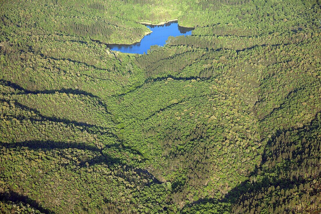 France, Var (83), Landscape of forest and lake, Tanneron mountains