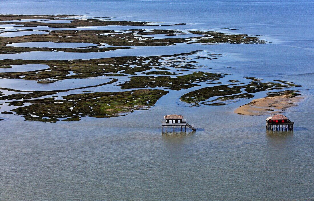 France, Aquitaine (33), Arcachon, the island with birds and huts tchanqués, (aerial photo)