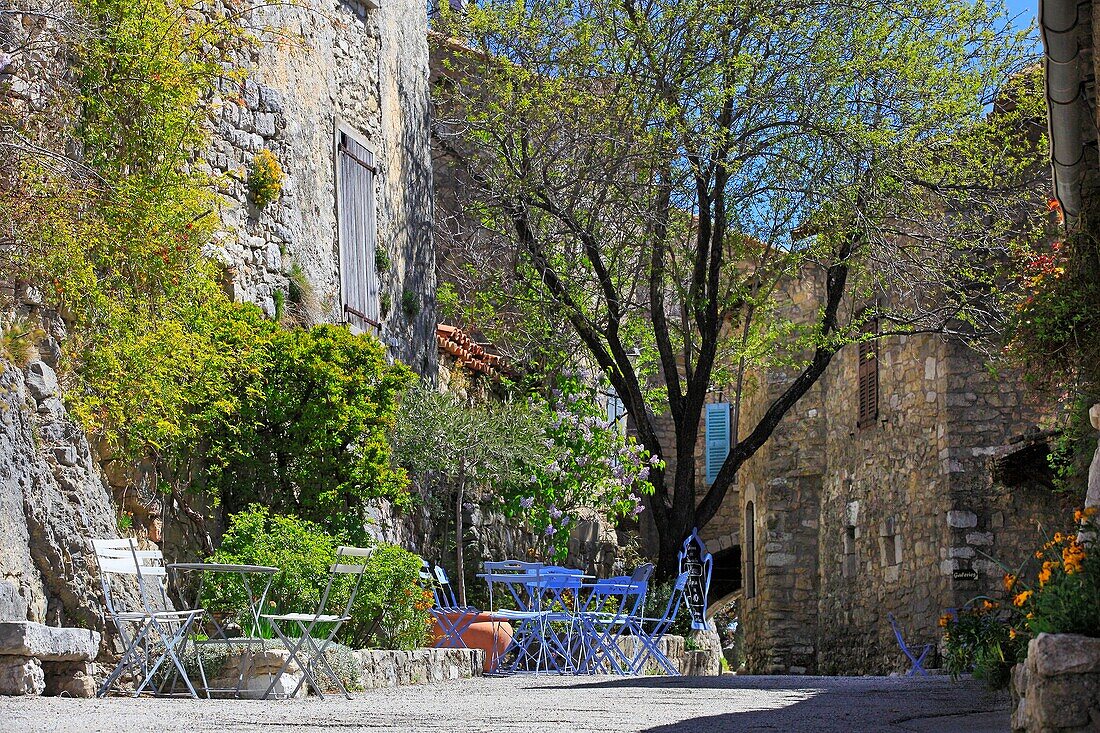 France, Var (83), labeled Village Bargème The Most Beautiful Villages of France, the main street of the village