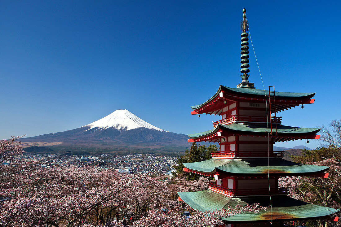 Japan, Cherry Blossoms, Pagoda at Arakura Sengen Shrine and Mount Fuji