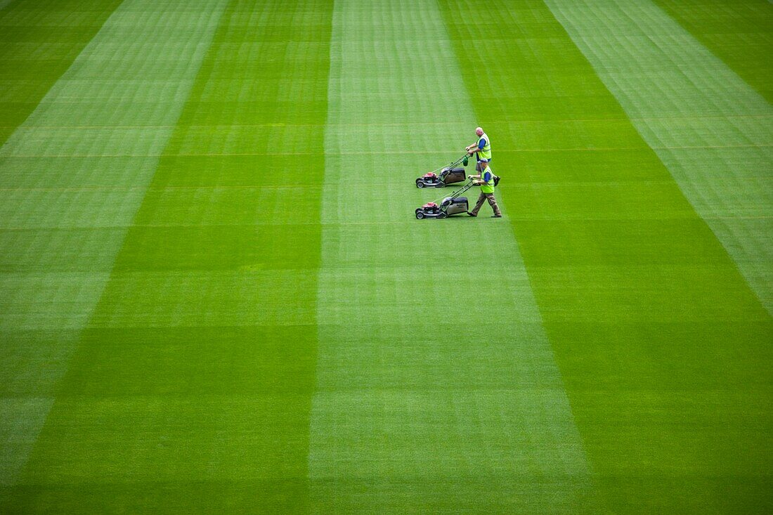 Republic of Ireland,Dublin,Greenkeeper Mowing Playing Field in The Aviva Stadium