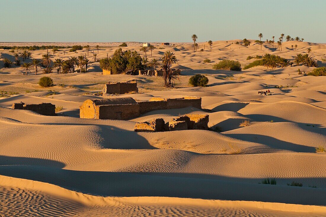 North Africa, Tunisia, Kebili province, the village of Zaafrane stuck in the sand