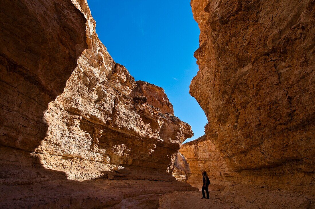 North Africa, Tunisia, Tozeur province, Mountain oasis, Tamerza, the impressive Tamerza canyon