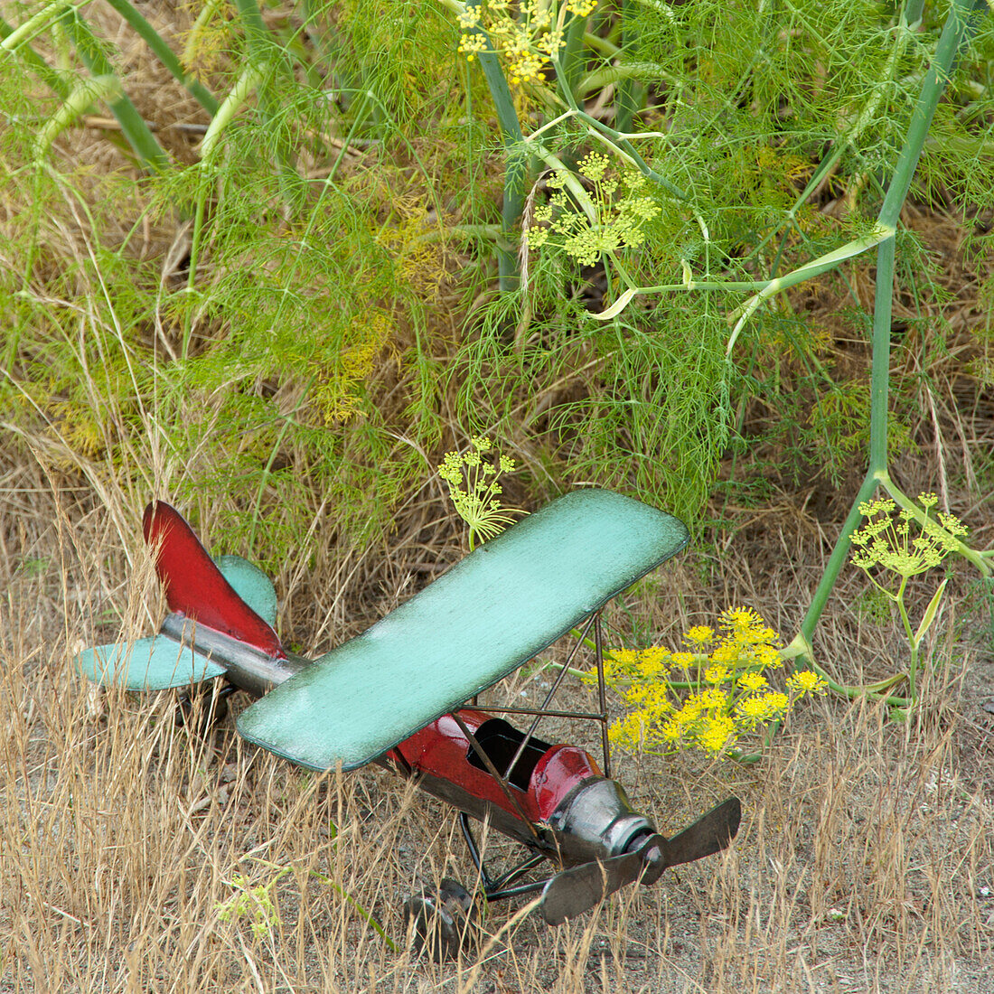 Toy airplane on the ground