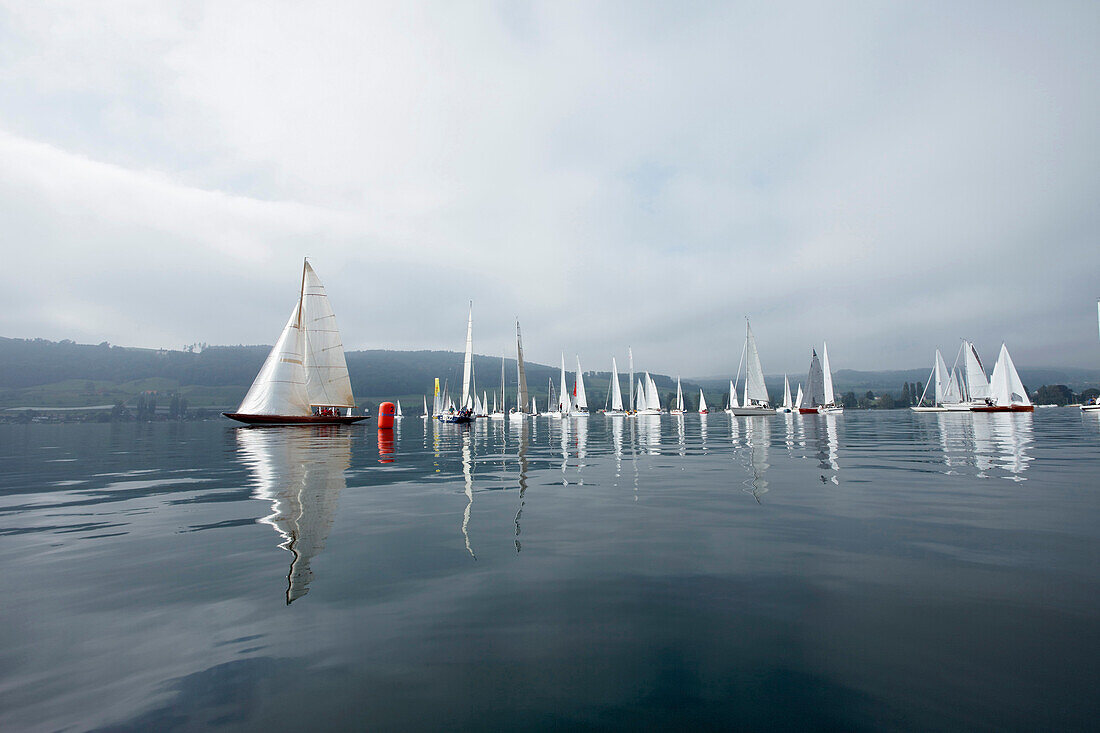 Sailing competion,  Sailingclub Oberstaad, near  Wangen, Hoeri, Lake of Constance, Baden-Wurttemberg, Germany