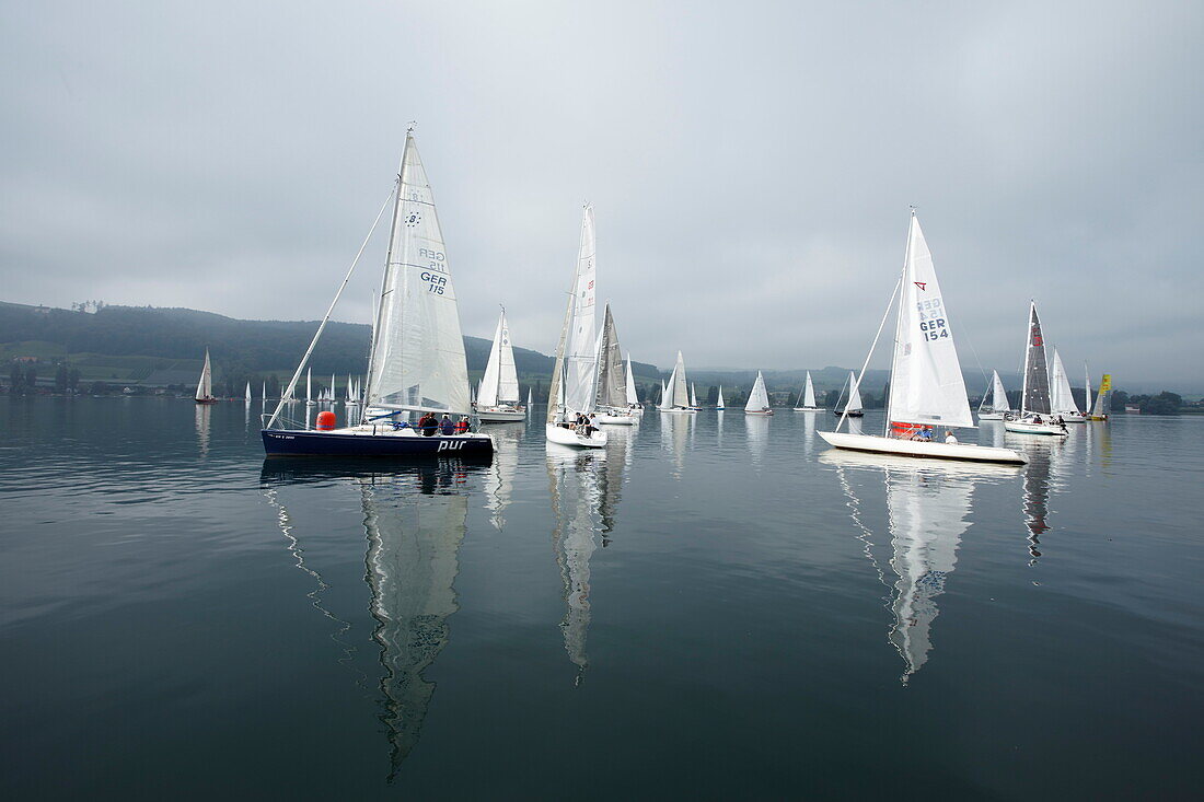 Sailing competion,  Sailingclub Oberstaad, near  Wangen, Hoeri, Lake of Constance, Baden-Wurttemberg, Germany