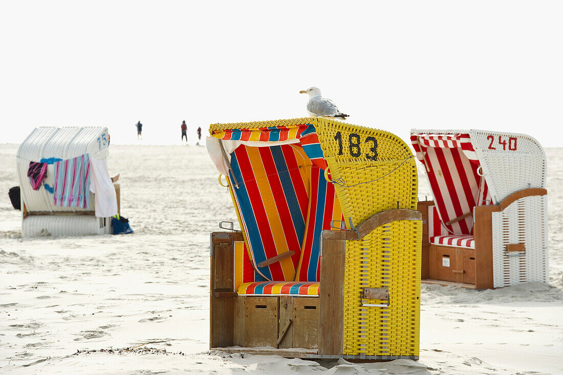 Beach chairs near Norddorf, sandbank, Amrum, North Frisian Islands, Schleswig-Holstein, Germany