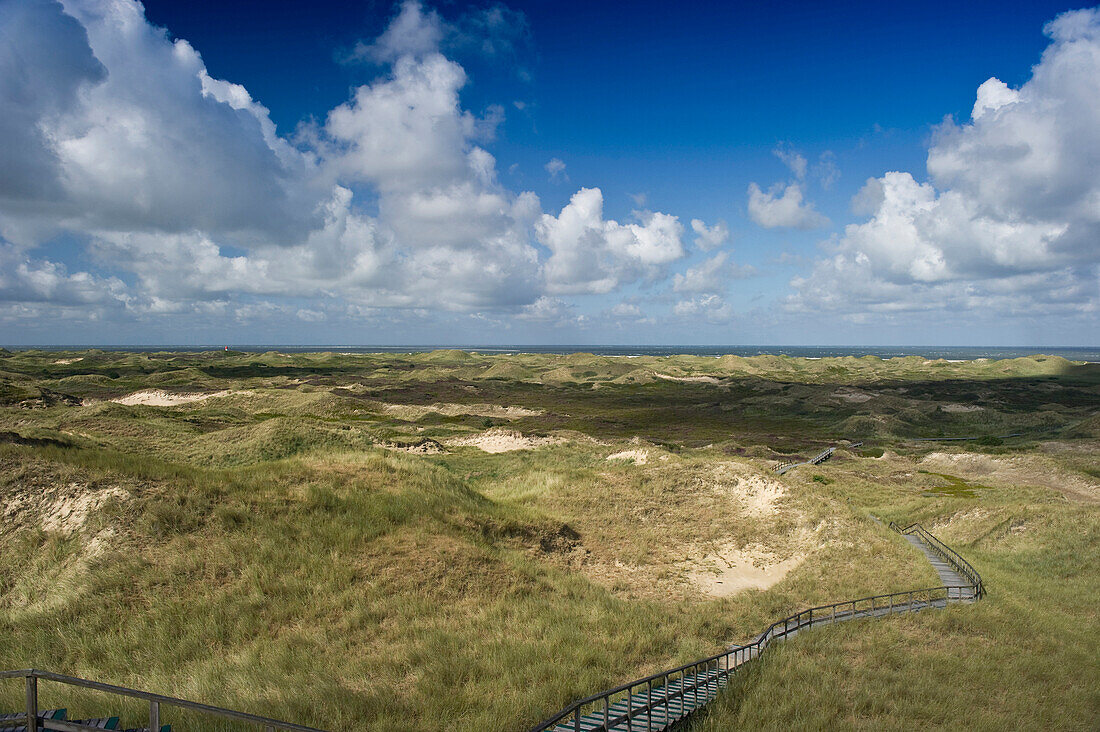 Dunes near Norddorf, Amrum, North Frisian Islands, Schleswig-Holstein, Germany