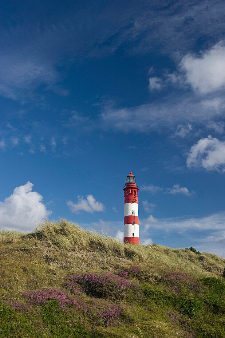 Leuchtturm, bei Nebel, Amrum, Nordfriesland, Schleswig-Holstein, Deutschland