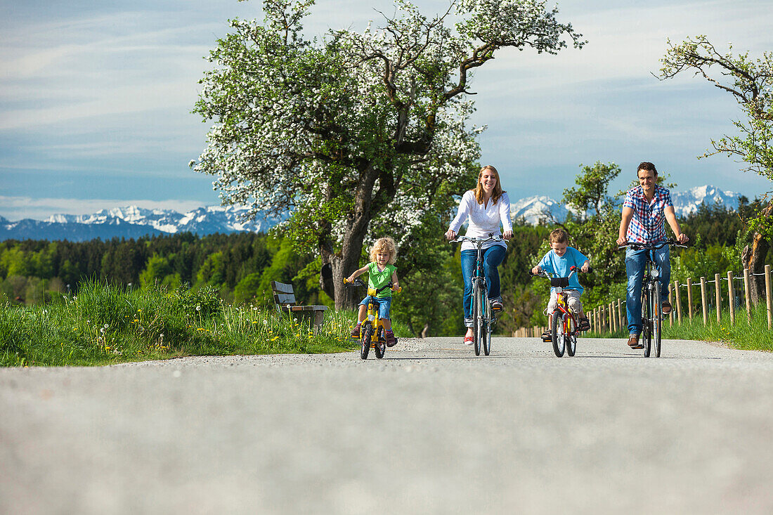 Familie fährt Fahrrad, Oberbayern, Bayern, Deutschland