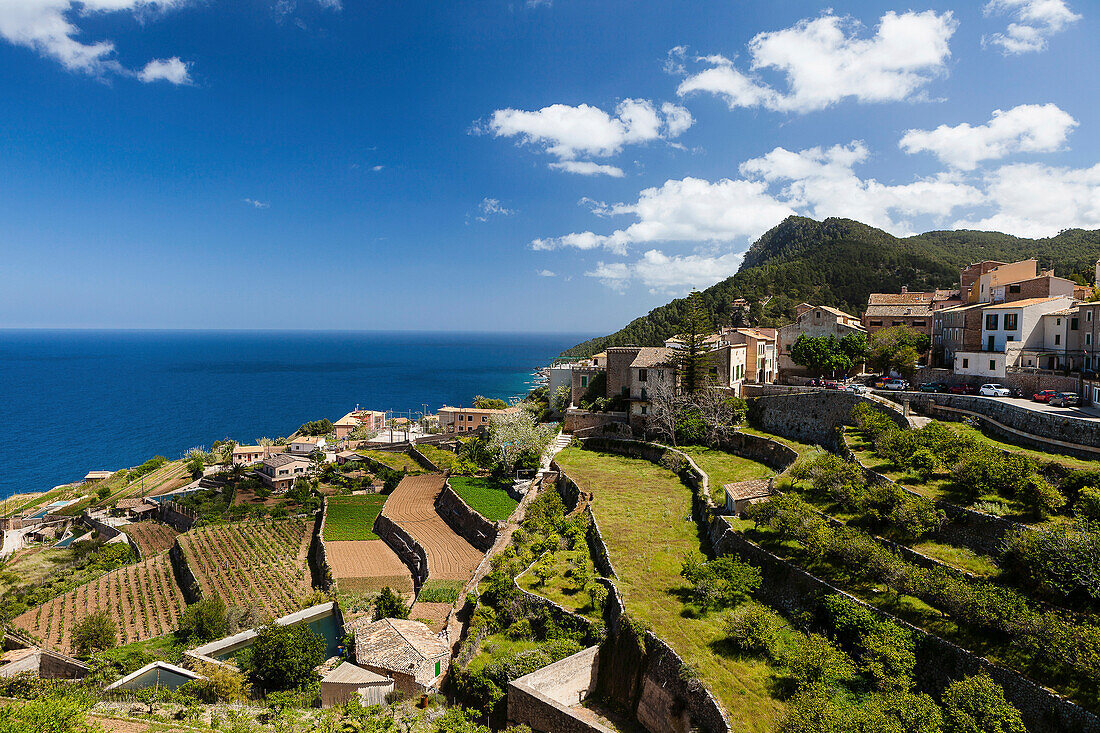 Coast town and terraced acreage at Mediterranean Sea, Banyalbufar, Mallorca, Spain