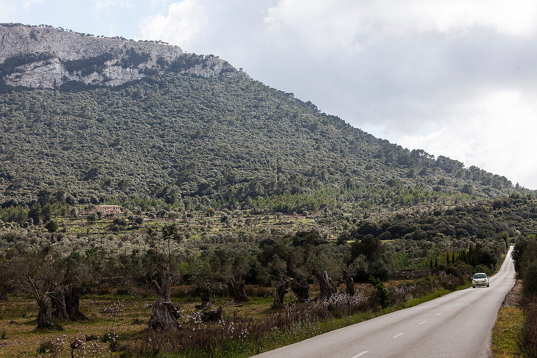 Country road and coastal mountain, near Valdemossa, Mallorca, Spain