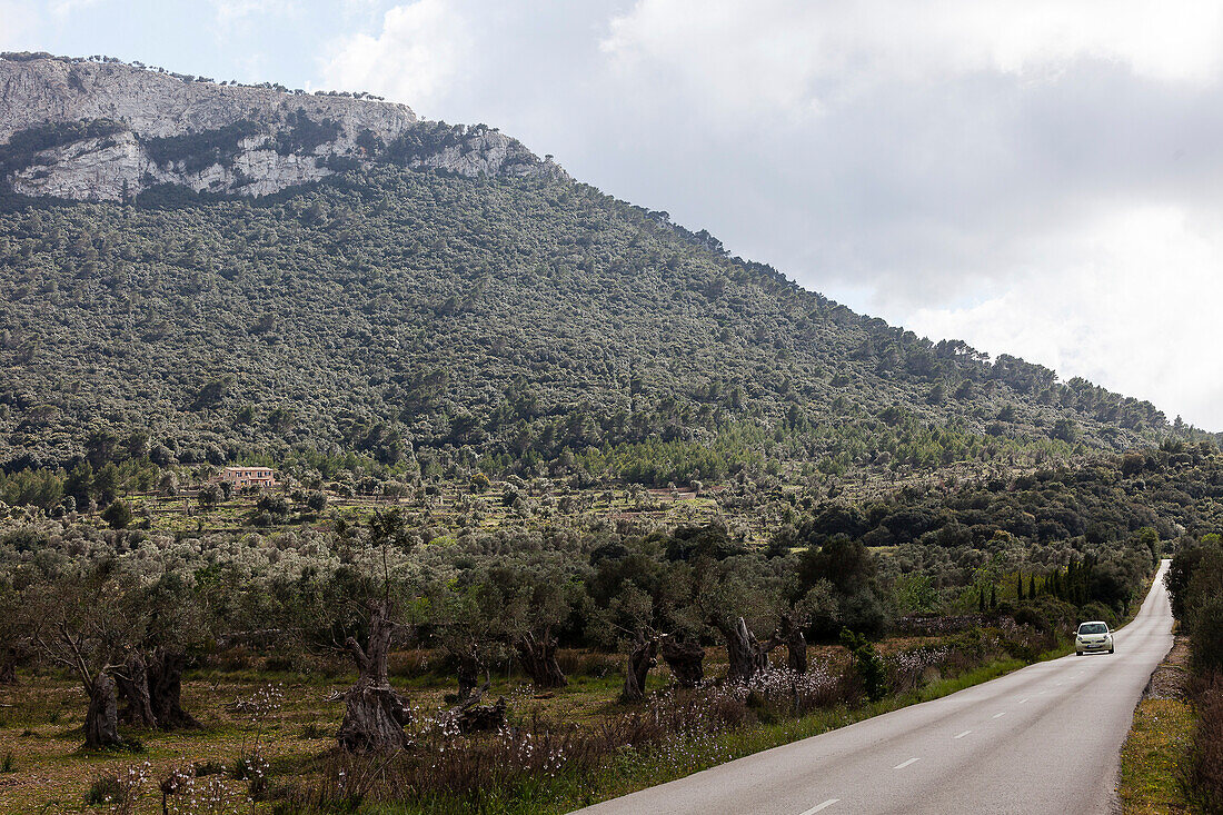 Landstraße und Küstengebirge, bei Valdemossa, Mallorca, Spanien