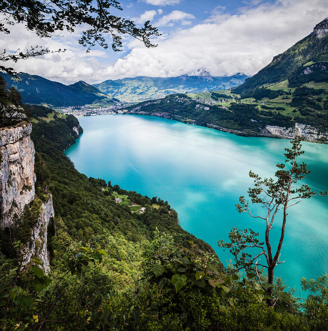 Lake Lucerne with the Ruetli meadow, the origin of Switzerland, in the background the town of Brunnen, Kanton of Uri, Central Switzerland, Europe