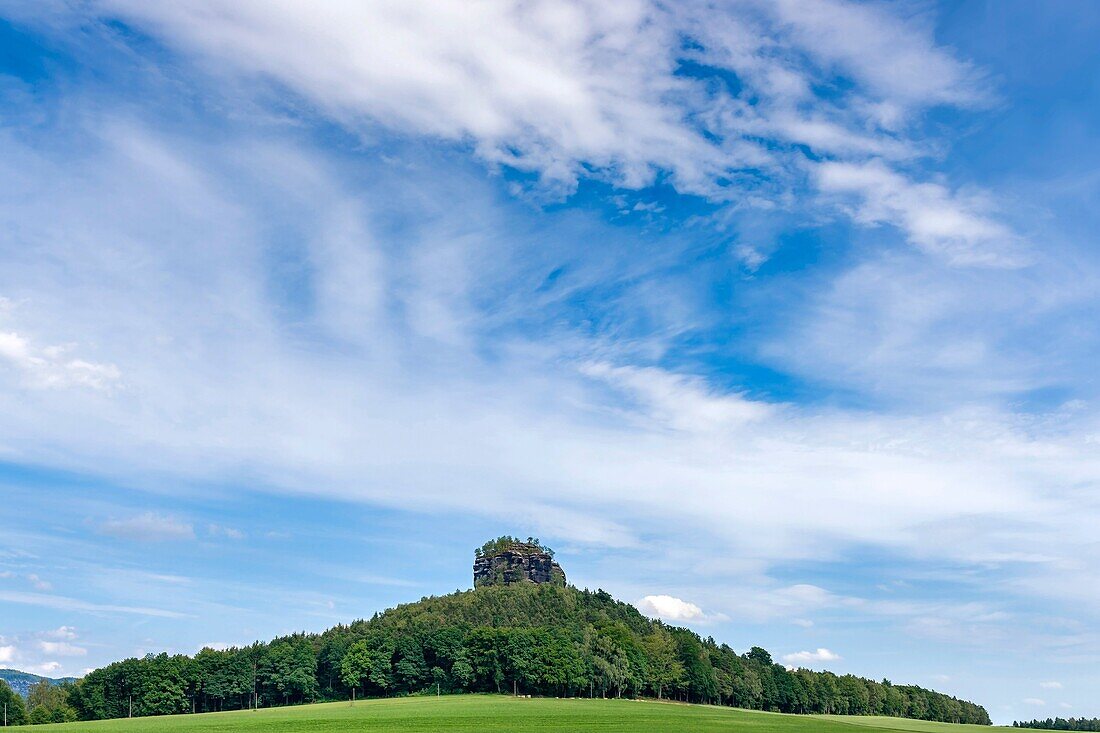 View to the Zirkelstein rock. The Zirkelstein is the smallest table mountain in the national park Saxon Switzerland It is a wooded, cone-shaped hill with a striking 40 metre high summit rock of sandstone, municipality Reinhardtsdorf-Schoena, Saxony, Germa