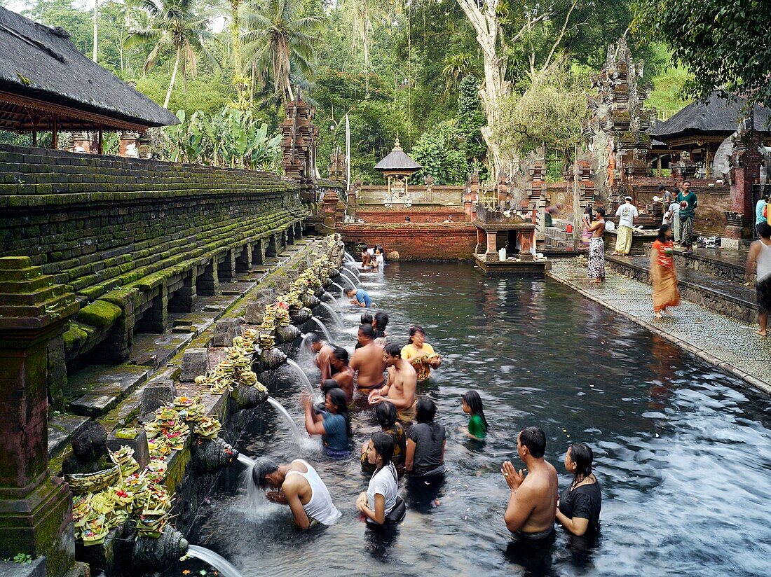 Balinese bath in the sacred waters of Tirta Empul  An ancient natural water spring feeds the baths  This area is believed to be the ancient center of the Subak culture