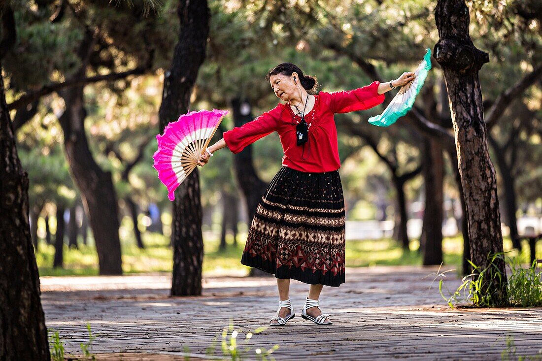An elderly Chinese woman practices tai chi fan dance martial arts exercise early morning at the Temple of Heaven Park during summer in Beijing, China